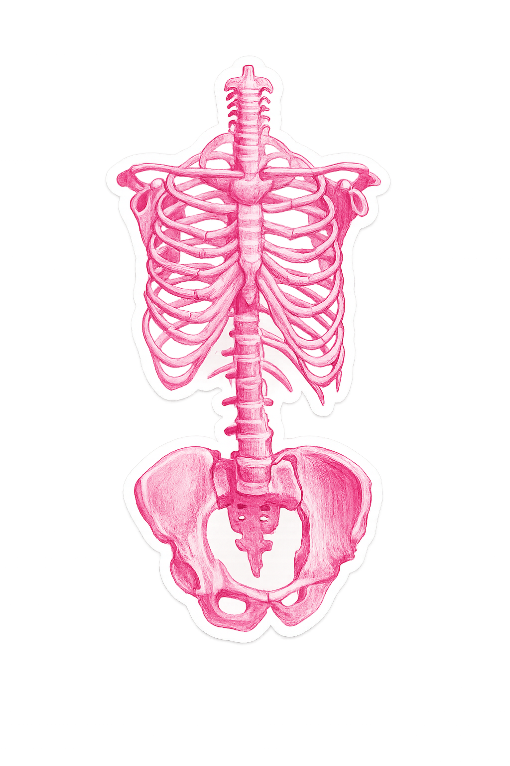 Pink Skeleton Study Sticker